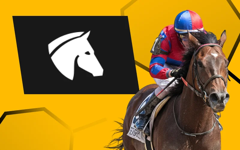 Place your bets on virtual horse racing on the official Melbet bookmaker website and win.